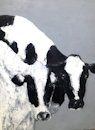 Cow Girls 73x100 cm